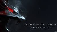 Боевую систему из Dark Souls 3 перенесли в The Witcher 3