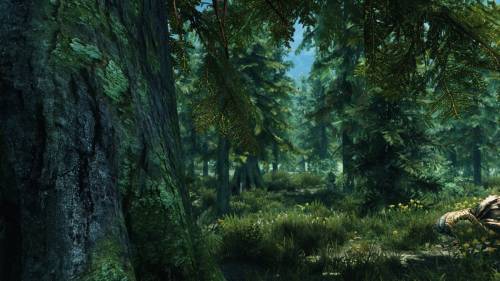 Скриншот 9 | TES 5: Skyrim: Falskaar